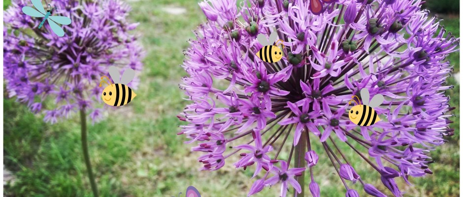Invită fluturii și albinele la masă, cu 4 plante din grădina ta